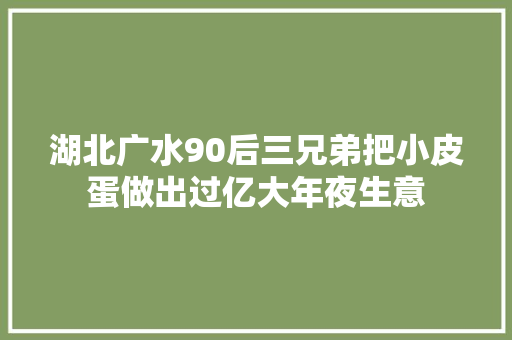 湖北广水90后三兄弟把小皮蛋做出过亿大年夜生意
