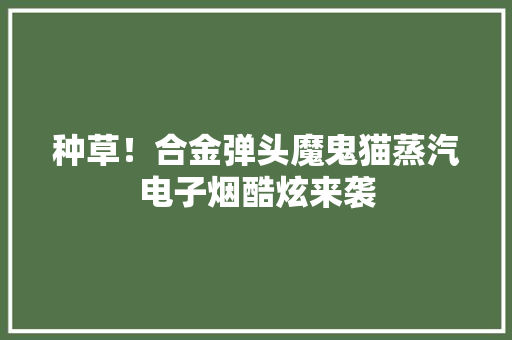 种草！合金弹头魔鬼猫蒸汽电子烟酷炫来袭