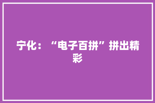 宁化：“电子百拼”拼出精彩