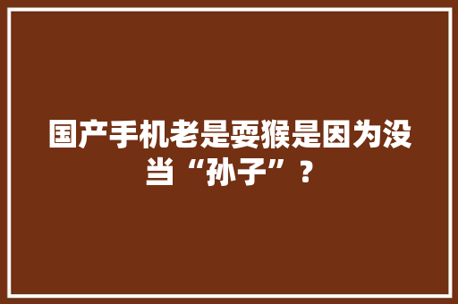 国产手机老是耍猴是因为没当“孙子”？