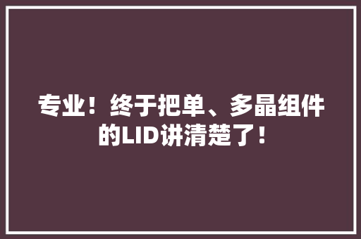 专业！终于把单、多晶组件的LID讲清楚了！