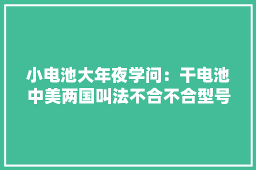 小电池大年夜学问：干电池中美两国叫法不合不合型号特色你未必清楚