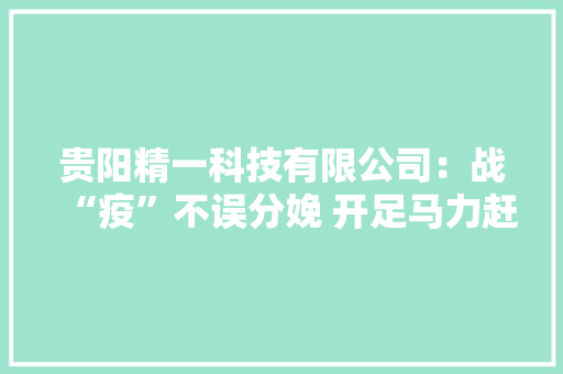 贵阳精一科技有限公司：战“疫”不误分娩 开足马力赶订单