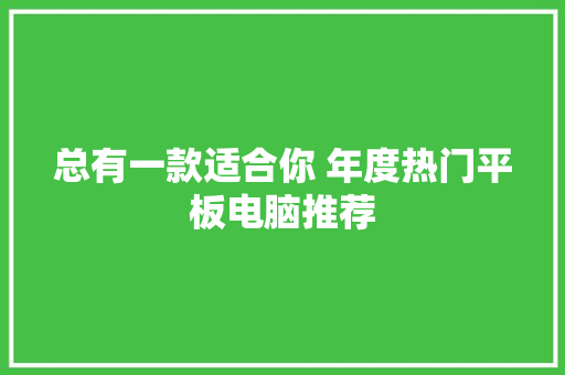 总有一款适合你 年度热门平板电脑推荐