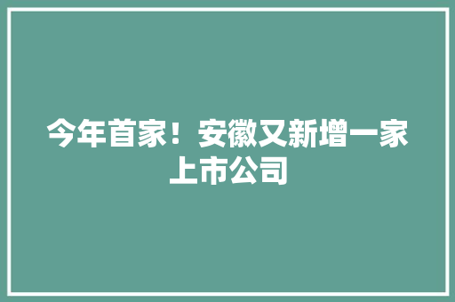 今年首家！安徽又新增一家上市公司