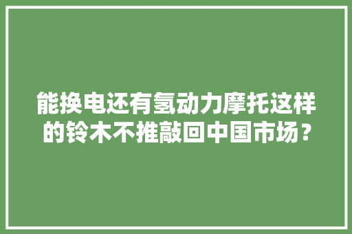 能换电还有氢动力摩托这样的铃木不推敲回中国市场？