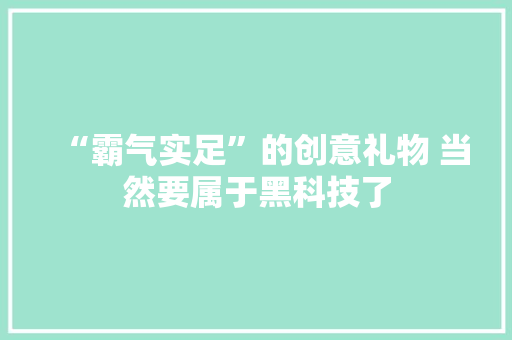 “霸气实足”的创意礼物 当然要属于黑科技了