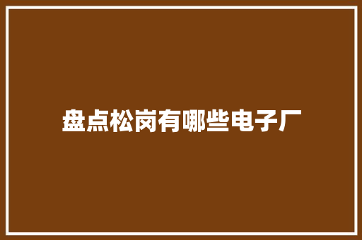盘点松岗有哪些电子厂