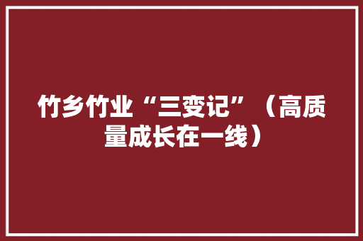 竹乡竹业“三变记”（高质量成长在一线）