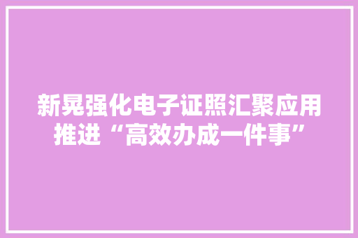 新晃强化电子证照汇聚应用推进“高效办成一件事”
