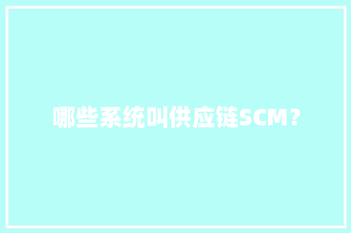 哪些系统叫供应链SCM？
