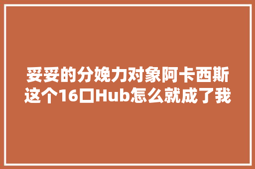 妥妥的分娩力对象阿卡西斯这个16口Hub怎么就成了我的心头好？
