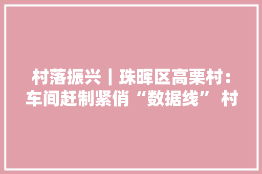 村落振兴｜珠晖区高栗村：车间赶制紧俏“数据线” 村平易近端起致富“新饭碗”