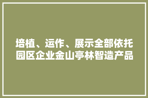 培植、运作、展示全部依托园区企业金山亭林智造产品集市启用