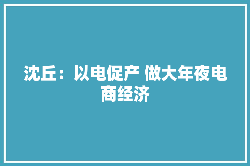 沈丘：以电促产 做大年夜电商经济