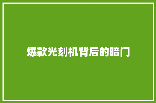 爆款光刻机背后的暗门