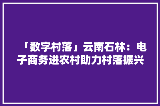 「数字村落」云南石林：电子商务进农村助力村落振兴