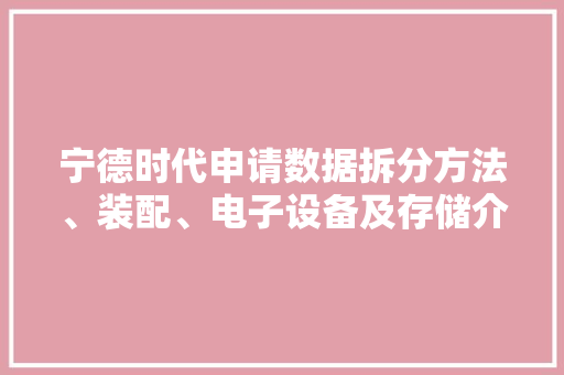 宁德时代申请数据拆分方法、装配、电子设备及存储介质专利提高经由进程数据拆分获得的表单的准确率