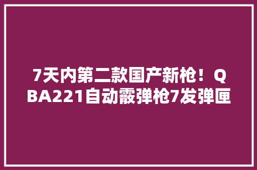 7天内第二款国产新枪！QBA221自动霰弹枪7发弹匣步兵班突击防空
