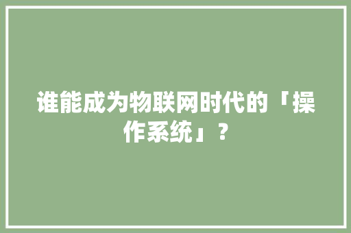 谁能成为物联网时代的「操作系统」？