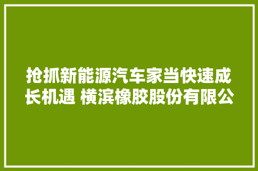 抢抓新能源汽车家当快速成长机遇 横滨橡胶股份有限公司高层来访