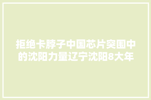 拒绝卡脖子中国芯片突围中的沈阳力量辽宁沈阳8大年夜制造在努力