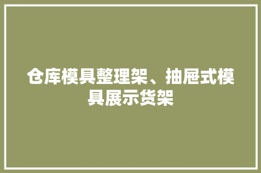 仓库模具整理架、抽屉式模具展示货架