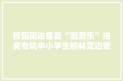 校园周边售卖“洞洞乐”抽奖专坑中小学生榆林定边警方整治
