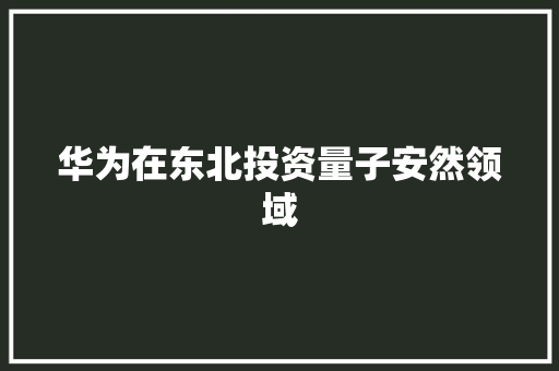华为在东北投资量子安然领域
