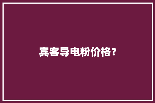 宾客导电粉价格？