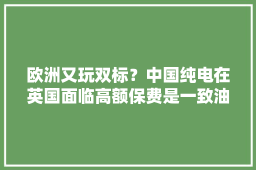 欧洲又玩双标？中国纯电在英国面临高额保费是一致油车2倍！