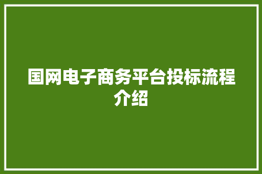 国网电子商务平台投标流程介绍