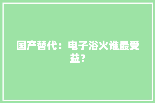 国产替代：电子浴火谁最受益？
