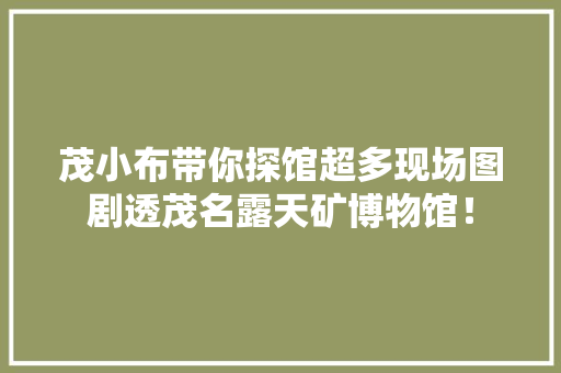 茂小布带你探馆超多现场图剧透茂名露天矿博物馆！