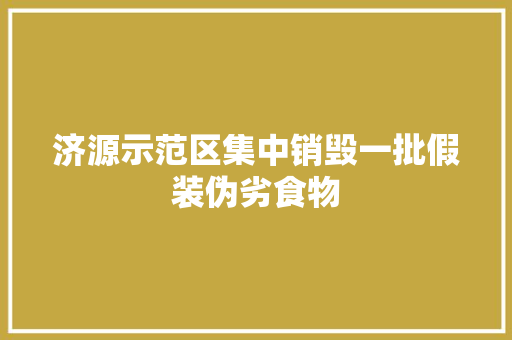 济源示范区集中销毁一批假装伪劣食物