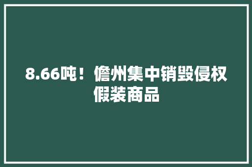 8.66吨！儋州集中销毁侵权假装商品