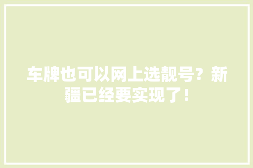 车牌也可以网上选靓号？新疆已经要实现了！