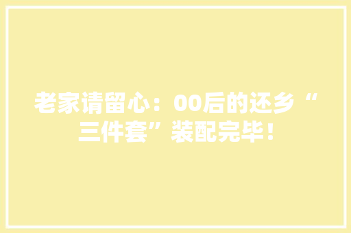 老家请留心：00后的还乡“三件套”装配完毕！