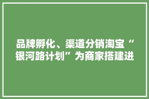 品牌孵化、渠道分销淘宝“银河路计划”为商家搭建进级快速路