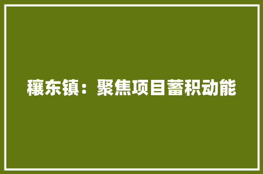 穰东镇：聚焦项目蓄积动能