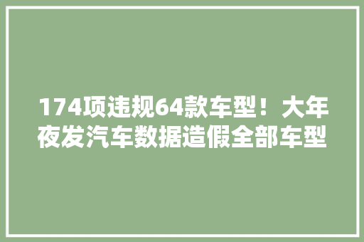 174项违规64款车型！大年夜发汽车数据造假全部车型停止出货