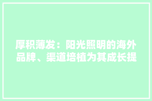 厚积薄发：阳光照明的海外品牌、渠道培植为其成长提速