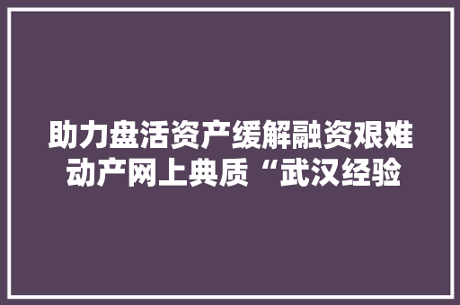 助力盘活资产缓解融资艰难 动产网上典质“武汉经验”全国推广