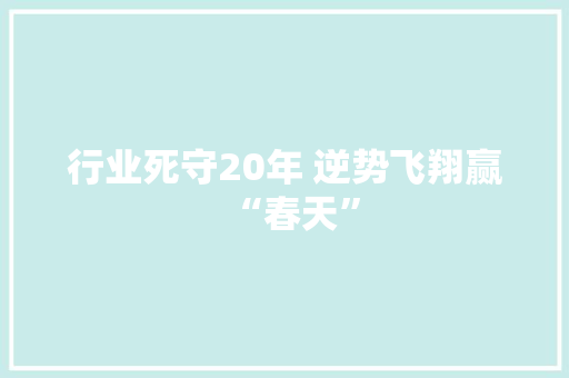 行业死守20年 逆势飞翔赢“春天”