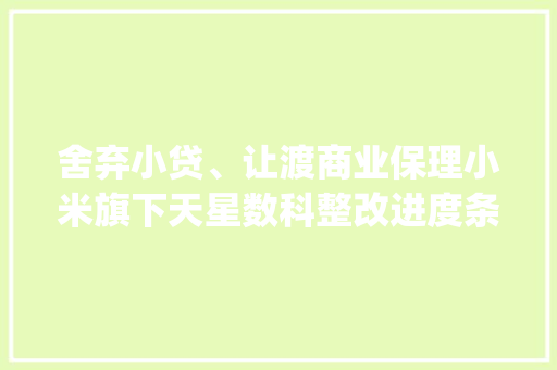 舍弃小贷、让渡商业保理小米旗下天星数科整改进度条走到哪了？|大年夜厂金融事