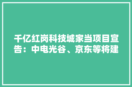 千亿红岗科技城家当项目宣告：中电光谷、京东等将建基地