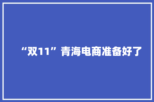 “双11”青海电商准备好了