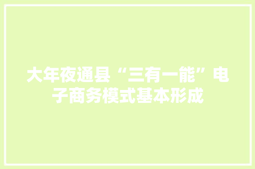 大年夜通县“三有一能”电子商务模式基本形成