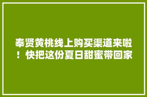 奉贤黄桃线上购买渠道来啦！快把这份夏日甜蜜带回家→