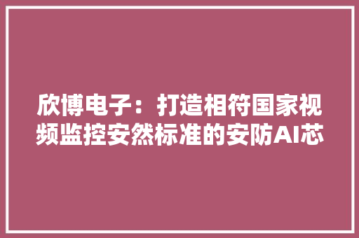 欣博电子：打造相符国家视频监控安然标准的安防AI芯片